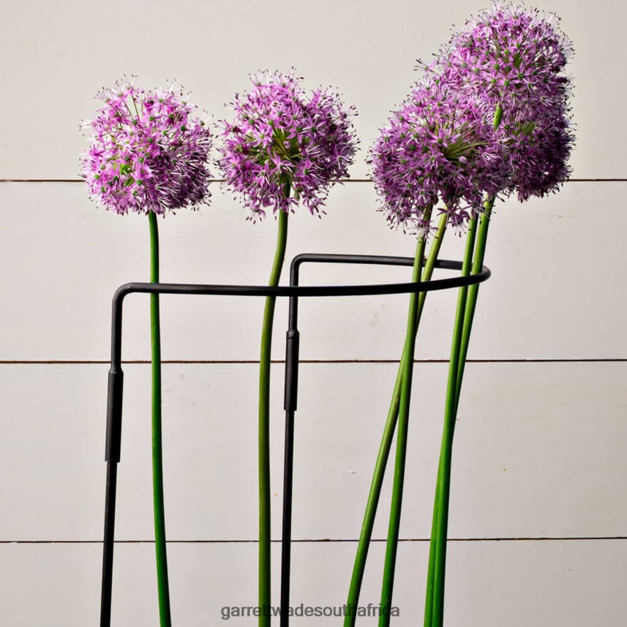 Garden Garrett Wade Half-Circle Steel Garden Support LP88ZX157 - Garrett Wade Garden Tools