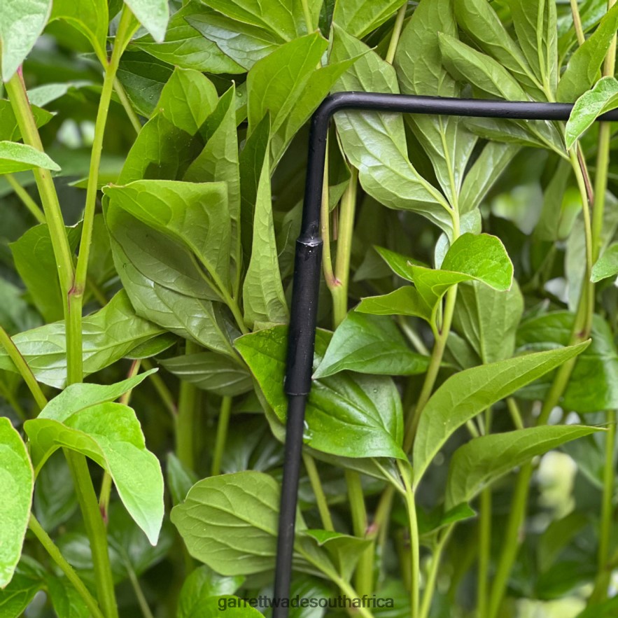 Garden Garrett Wade Half-Circle Steel Garden Support LP88ZX157 - Garrett Wade Garden Tools