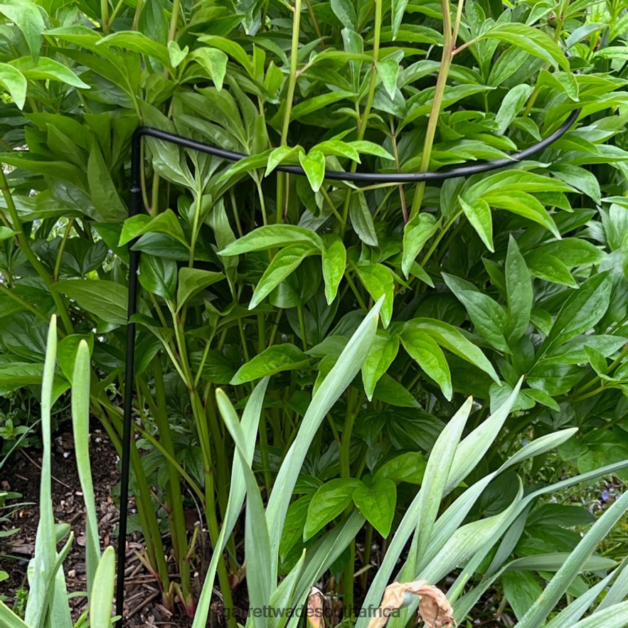 Garden Garrett Wade Half-Circle Steel Garden Support LP88ZX157 - Garrett Wade Garden Tools