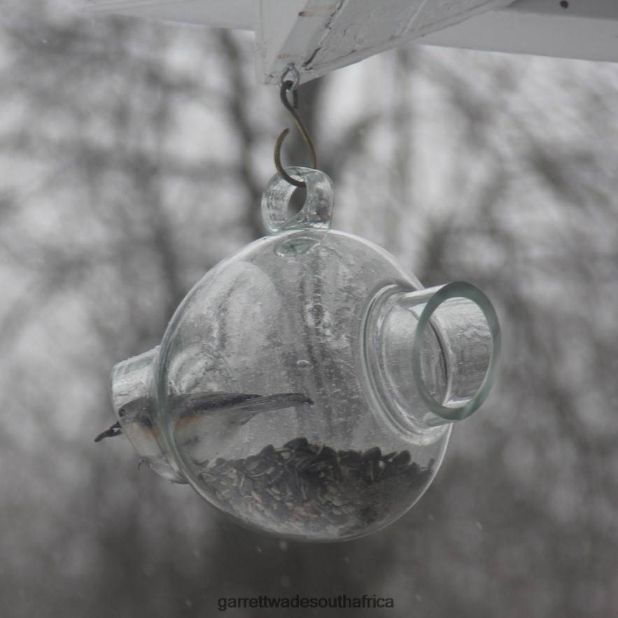 Garden Garrett Wade Large Glass Bird Feeder LP88ZX160 - Garrett Wade Garden Tools