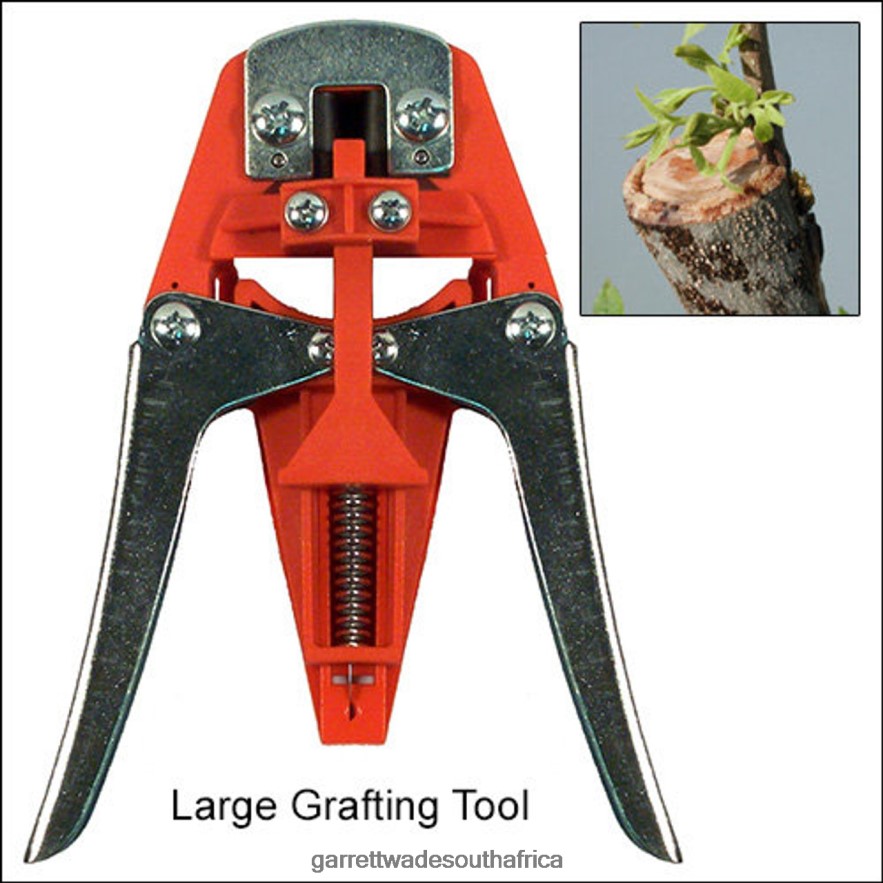 Garden Garrett Wade Professional Grafting Tools LP88ZX150 - Garrett Wade Chisels
