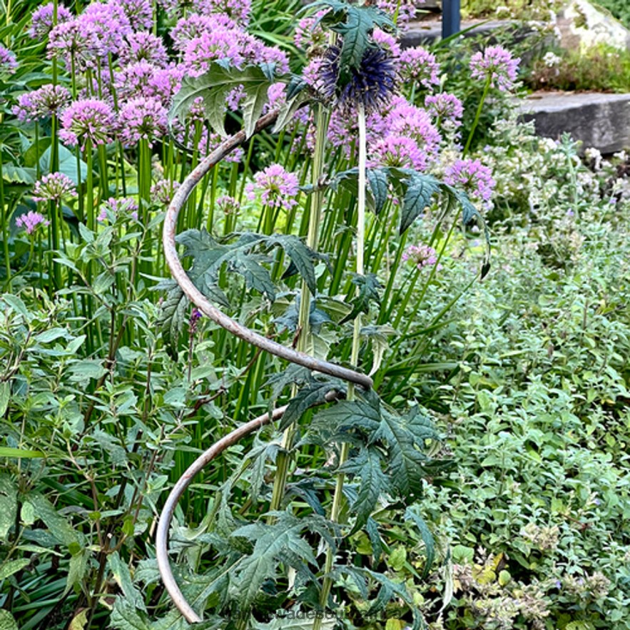 Garden Garrett Wade Spiral Plant Supports (Set of 2) LP88ZX158 - Garrett Wade Knives