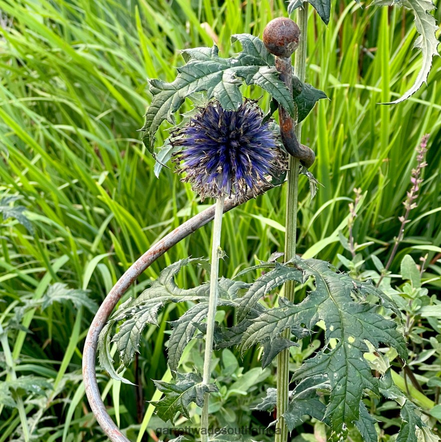 Garden Garrett Wade Spiral Plant Supports (Set of 2) LP88ZX158 - Garrett Wade Knives