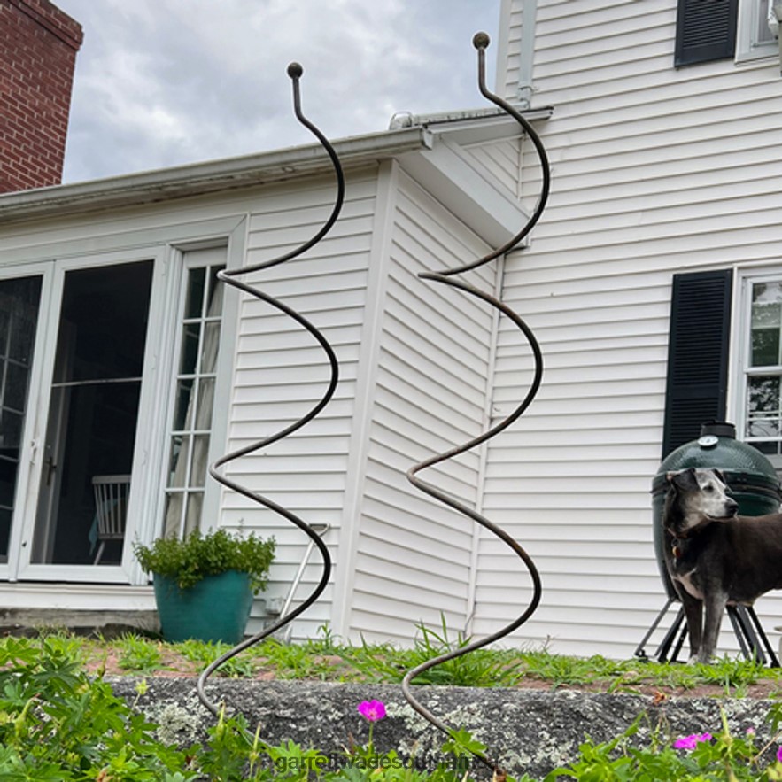 Garden Garrett Wade Spiral Plant Supports (Set of 2) LP88ZX158 - Garrett Wade Knives