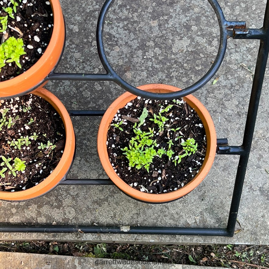 Garden Garrett Wade Terracotta Planter Stand Including 9 Pots LP88ZX136 - Garrett Wade Garden Tools