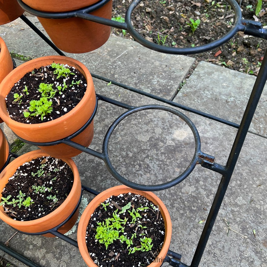 Garden Garrett Wade Terracotta Planter Stand Including 9 Pots LP88ZX136 - Garrett Wade Garden Tools