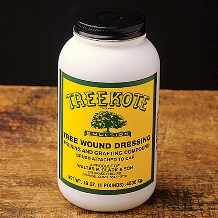 Garden Garrett Wade Treekote Wound Dressing LP88ZX171 - Garrett Wade Chisels