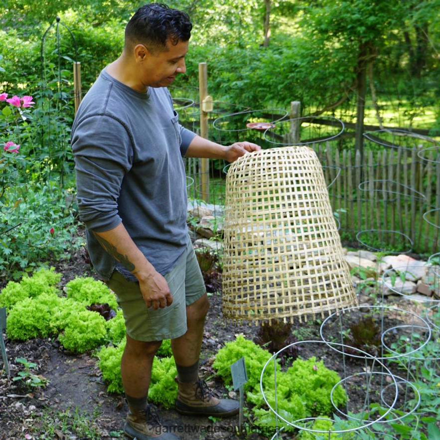 Garden Garrett Wade Woven Bamboo Garden Cloche LP88ZX152 - Garrett Wade Knives