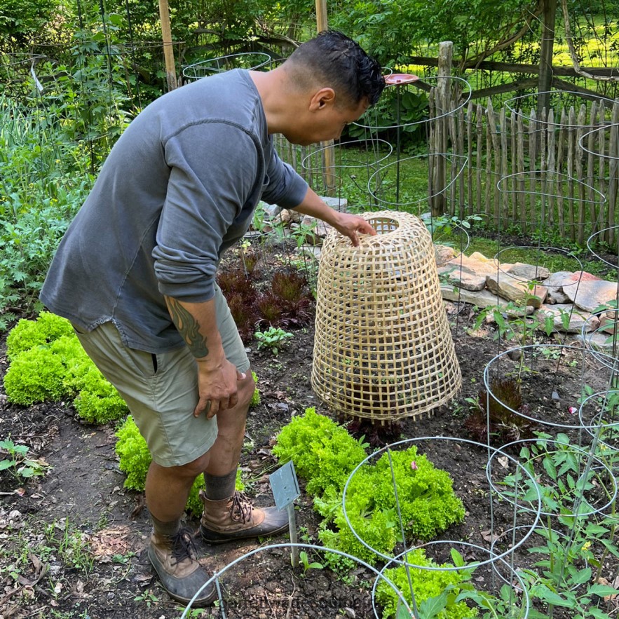 Garden Garrett Wade Woven Bamboo Garden Cloche LP88ZX152 - Garrett Wade Knives