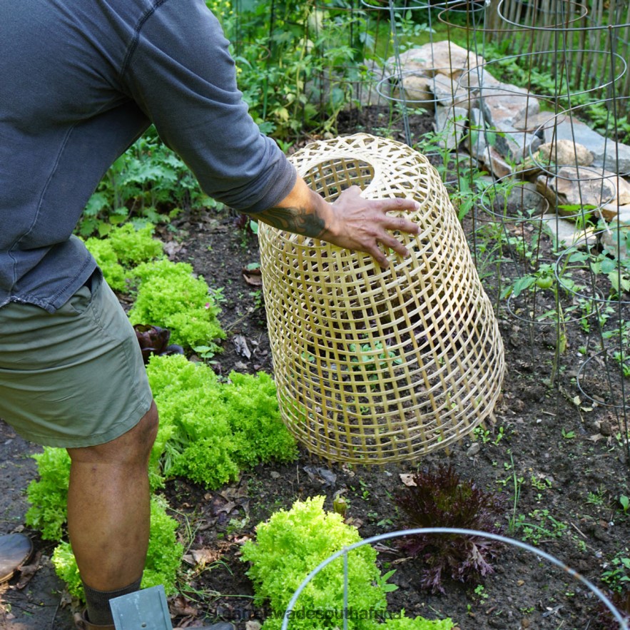 Garden Garrett Wade Woven Bamboo Garden Cloche LP88ZX152 - Garrett Wade Knives