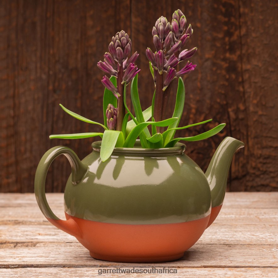 Garden Garrett Wade Teapot Shaped Planter Made in the UK LP88ZX263 - Garrett Wade Knives