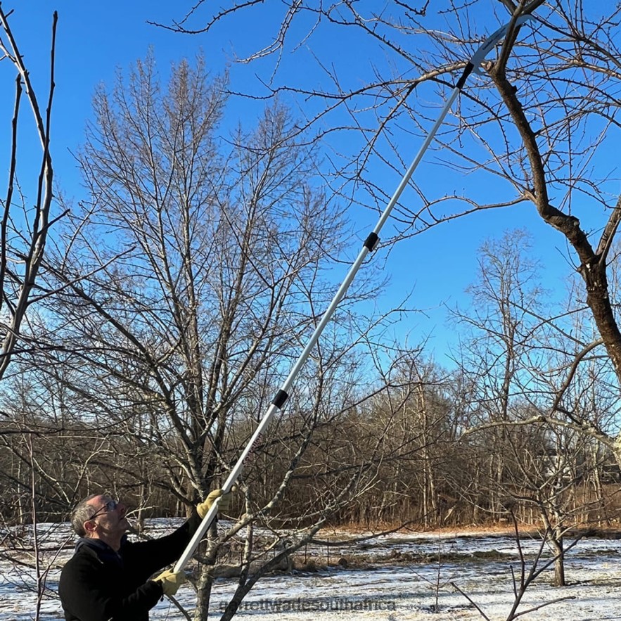 Garden Garrett Wade 10\' Extendable Pole Saw LP88ZX26 - Garrett Wade Knives