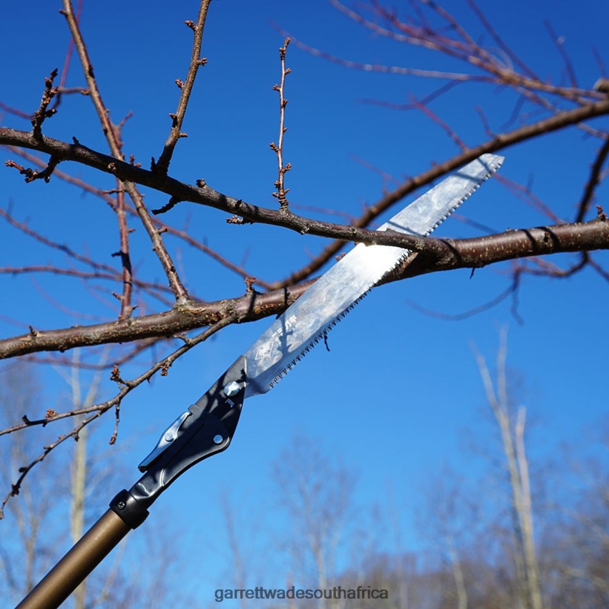 Garden Garrett Wade Arborist Folding & Extending Trim Saw LP88ZX56 - Garrett Wade Knives