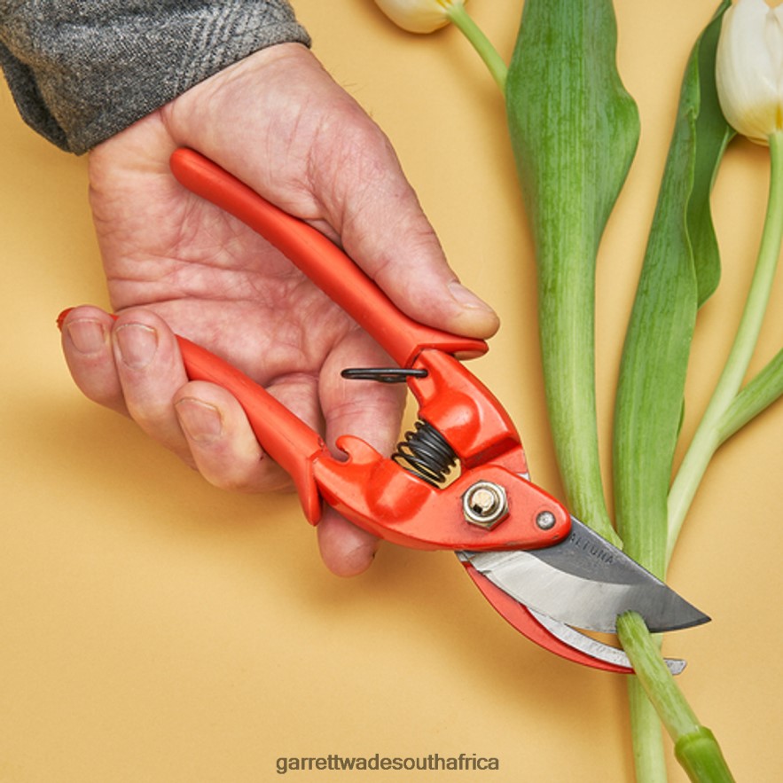 Garden Garrett Wade Classic Old-World Pruners from Spain LP88ZX55 - Garrett Wade Garden Tools