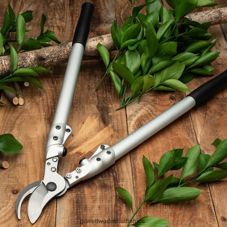 Garden Garrett Wade Everyday Complete Pruning Set LP88ZX30 - Garrett Wade Chisels