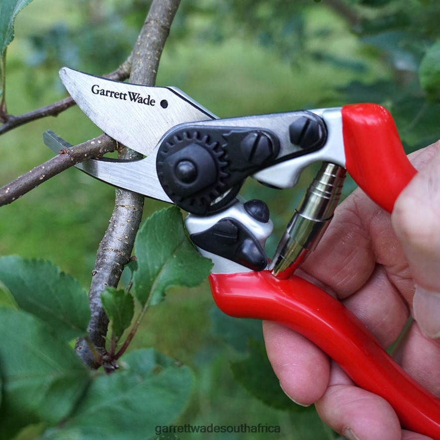 Garden Garrett Wade Everyday Go-To Pruners LP88ZX39 - Garrett Wade Chisels