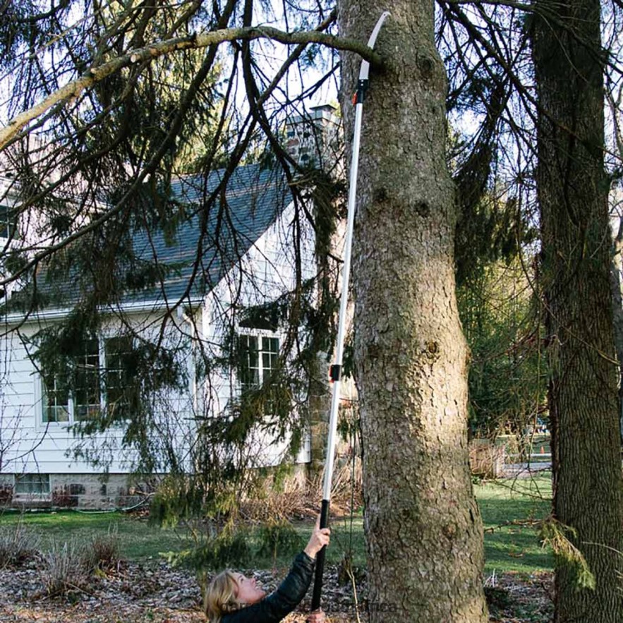 Garden Garrett Wade Extendable Jumbo Pole Saw & Pruner LP88ZX4 - Garrett Wade Garden Tools