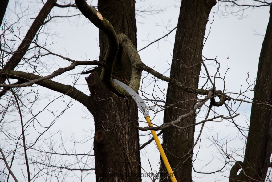 Garden Garrett Wade Hi-Reach 19 ft Pole Saws LP88ZX1 - Garrett Wade Garden Tools