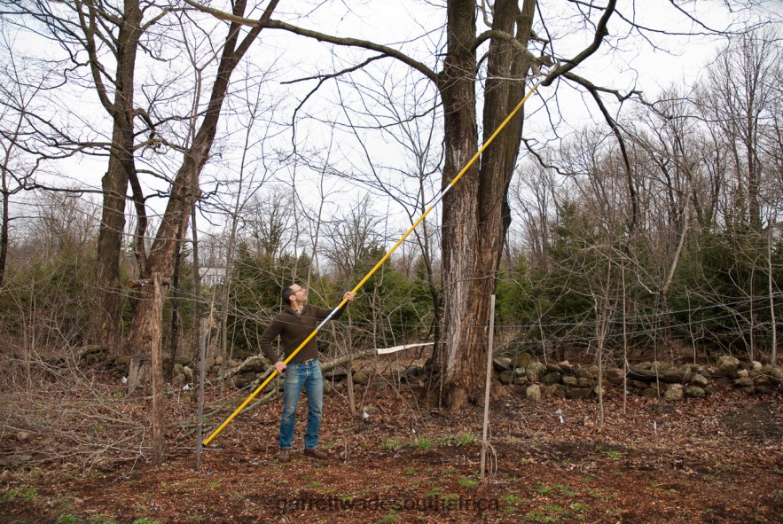 Garden Garrett Wade Hi-Reach 19 ft Pole Saws LP88ZX1 - Garrett Wade Garden Tools