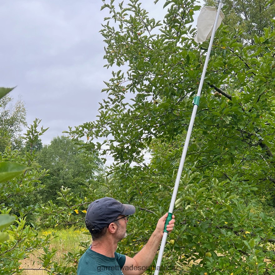 Garden Garrett Wade High-Reach Fruit Picking Basket LP88ZX5 - Garrett Wade Knives