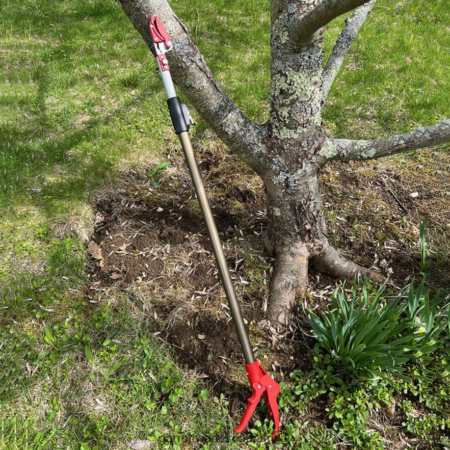 Garden Garrett Wade Long Reach Pruner (Extends to 5 Feet) LP88ZX33 - Garrett Wade Chisels