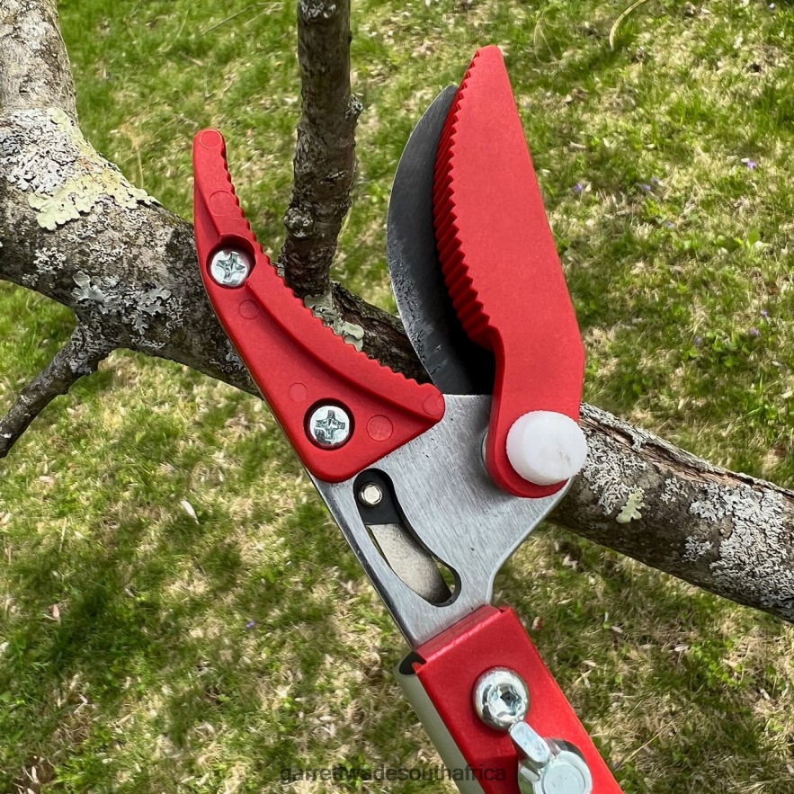 Garden Garrett Wade Long Reach Pruner (Extends to 5 Feet) LP88ZX33 - Garrett Wade Chisels