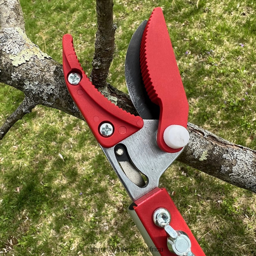 Garden Garrett Wade Long Reach Pruner (Extends to 5 Feet) LP88ZX33 - Garrett Wade Chisels