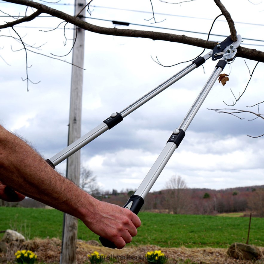 Garden Garrett Wade Premium Ratcheting Pruning Loppers LP88ZX2 - Garrett Wade Knives