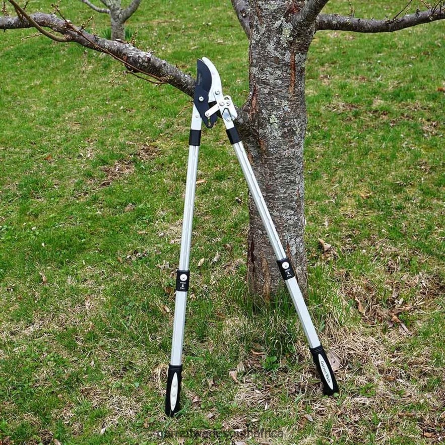 Garden Garrett Wade Premium Ratcheting Pruning Loppers LP88ZX2 - Garrett Wade Knives