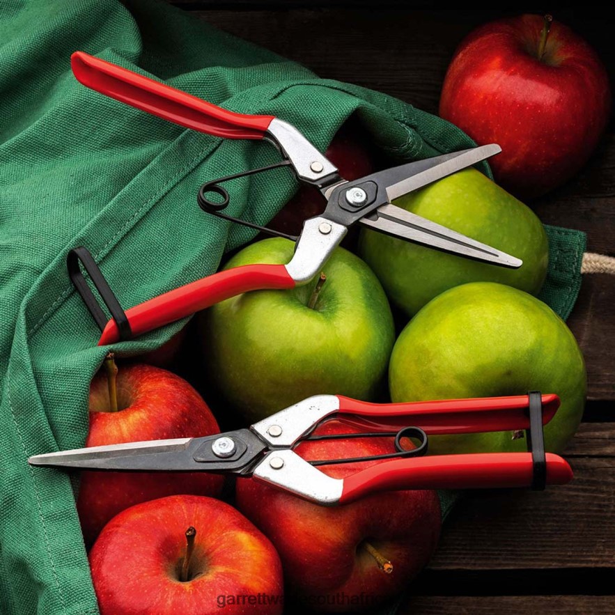 Garden Garrett Wade Spring-Loaded Long-Nose Fruit Scissor LP88ZX59 - Garrett Wade Knives