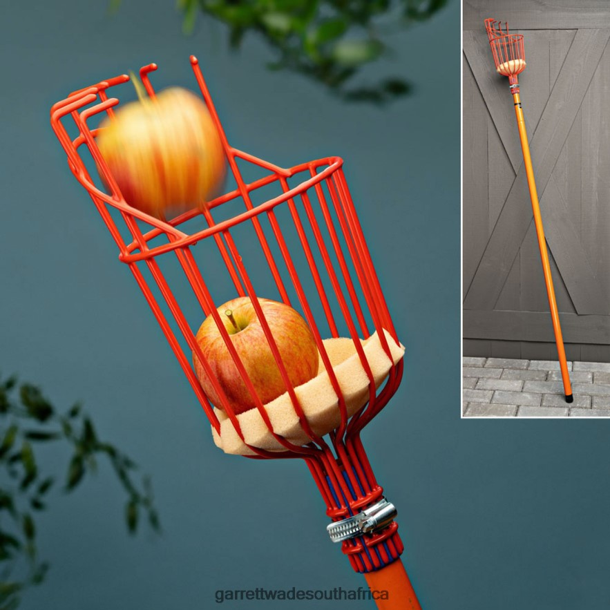 Garden Garrett Wade Tasty Reach'' Telescoping Fruit Picker LP88ZX10 - Garrett Wade Garden Tools