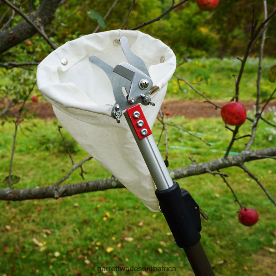 Garden Garrett Wade Telescopic Fruit Picker LP88ZX3 - Garrett Wade Chisels
