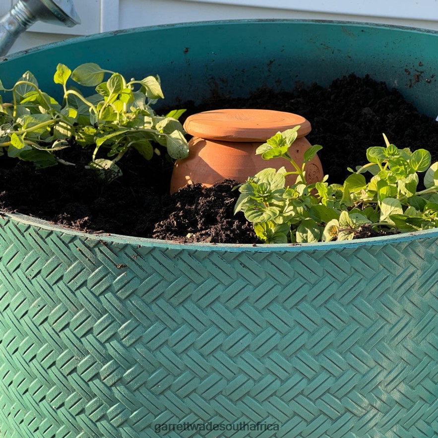 Garden Garrett Wade Medium Teardrop-Shaped Terracotta Container Plant Hydrator LP88ZX233 - Garrett Wade Knives