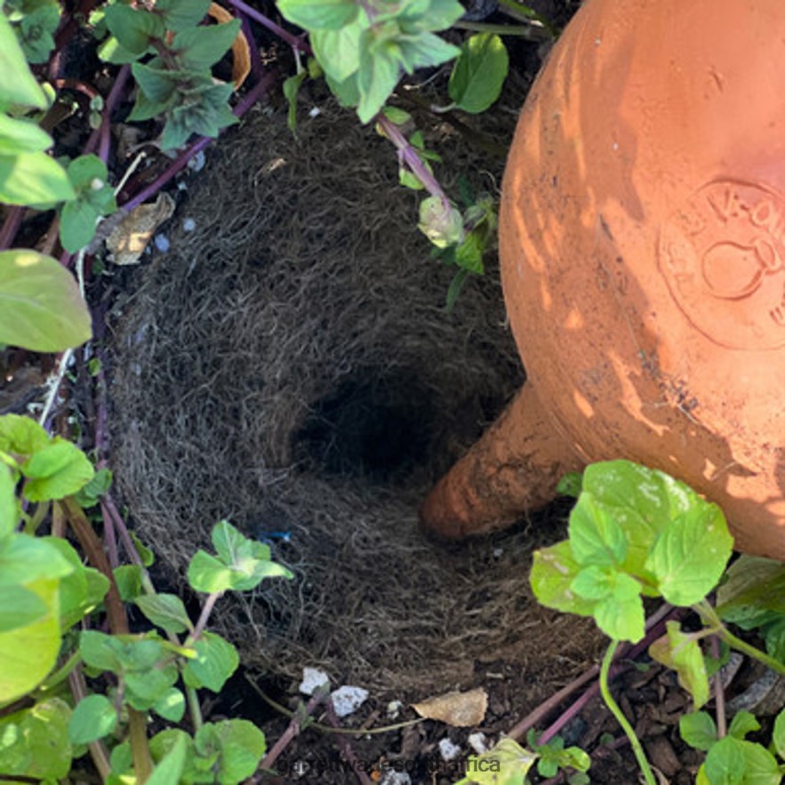 Garden Garrett Wade Medium Teardrop-Shaped Terracotta Container Plant Hydrator LP88ZX233 - Garrett Wade Knives