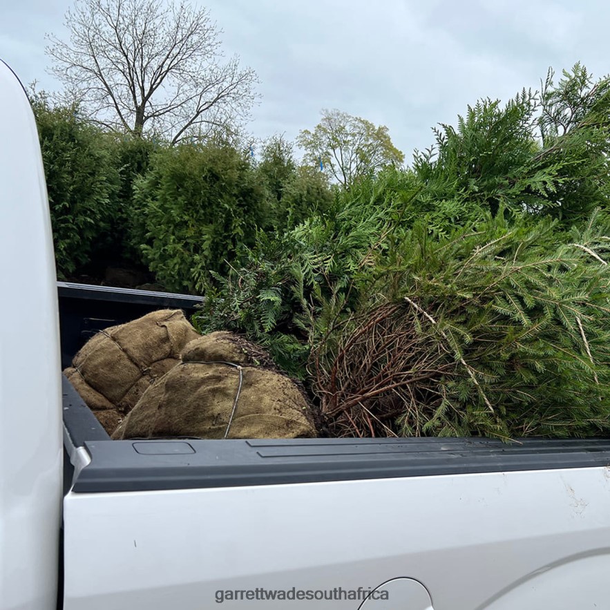 Garden Garrett Wade Powerful Jet Water Nozzle LP88ZX237 - Garrett Wade Chisels