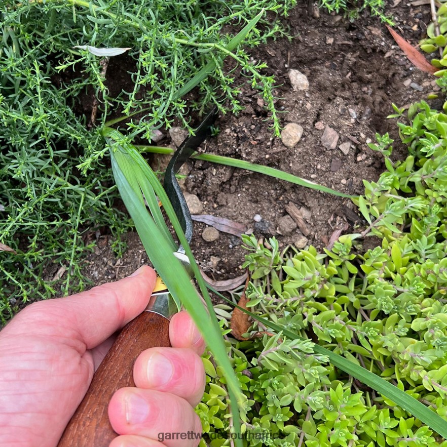 Garden Garrett Wade Red Pig Hazeltine Weeder LP88ZX260 - Garrett Wade Knives