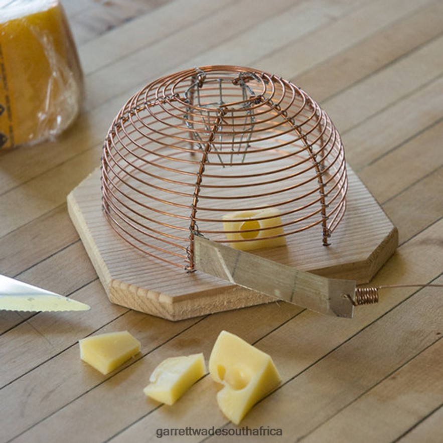 Home & Kitchen Garrett Wade Humane House Mouse Catcher LP88ZX989 - Garrett Wade Knives