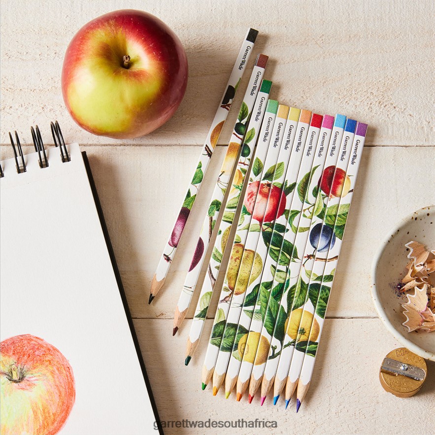 Home & Kitchen Garrett Wade Set Of 12 Fruit & Flower-Themed Color Artist Pencils LP88ZX1020 - Garrett Wade Chisels