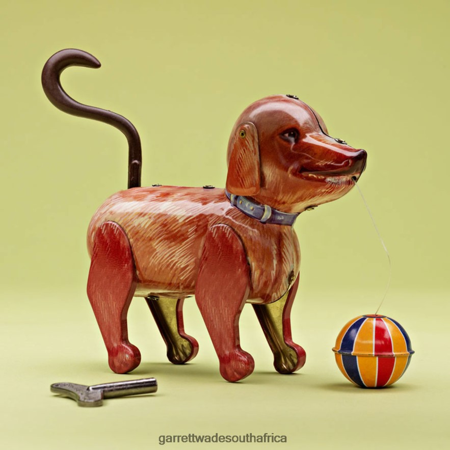 Home & Kitchen Garrett Wade Windup Tin Dog with Ball LP88ZX934 - Garrett Wade Garden Tools