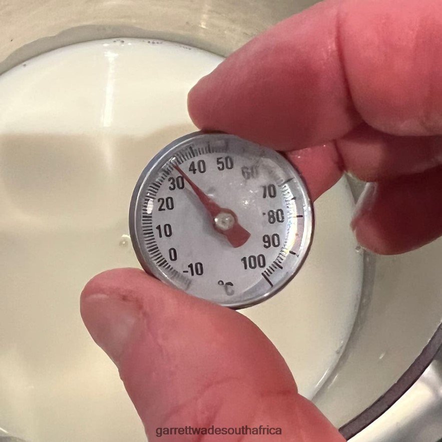 Home & Kitchen Garrett Wade Modern Ceramic Stone Yogurt Maker LP88ZX833 - Garrett Wade Knives