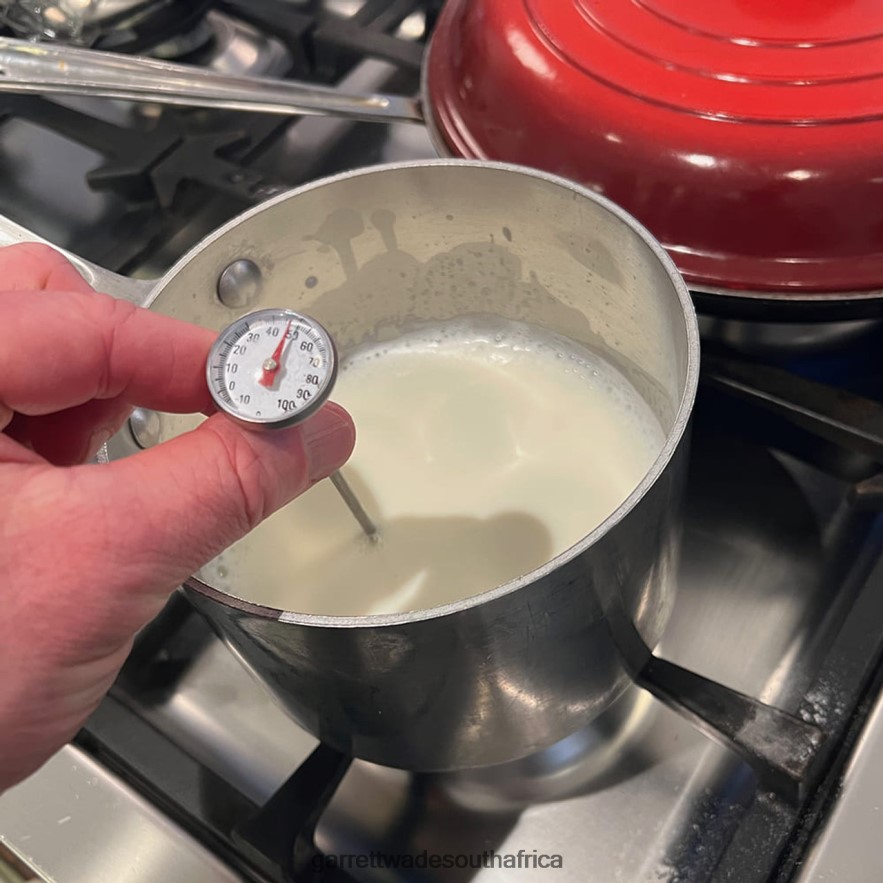 Home & Kitchen Garrett Wade Modern Ceramic Stone Yogurt Maker LP88ZX833 - Garrett Wade Knives