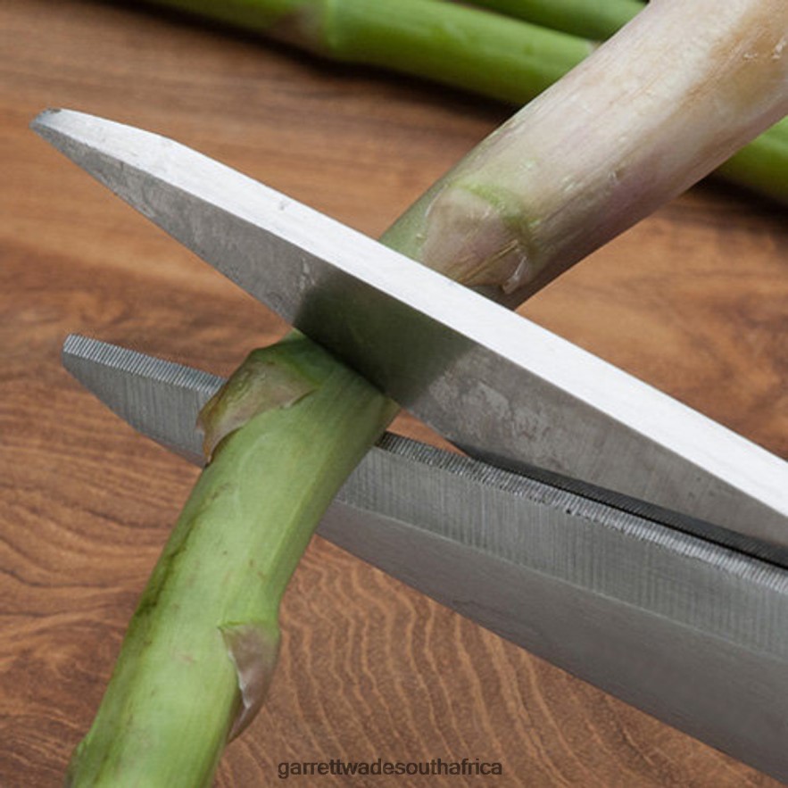 Home & Kitchen Garrett Wade Stainless Kitchen / Household Shears LP88ZX781 - Garrett Wade Garden Tools