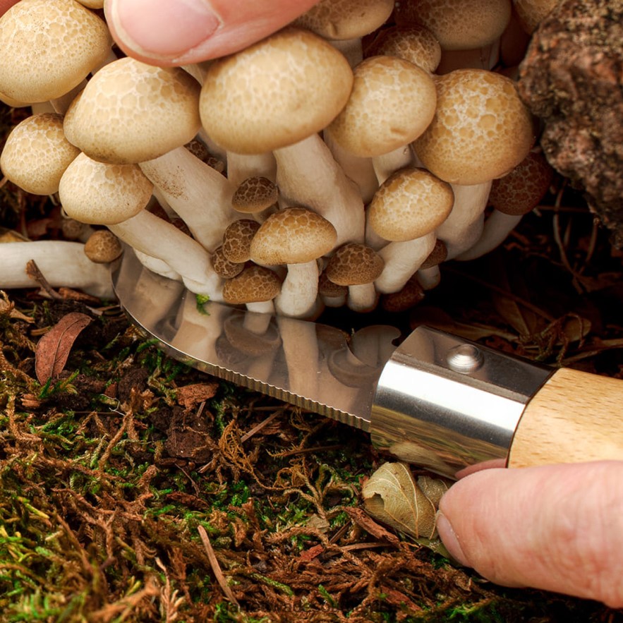 Outdoor Garrett Wade Mushroom-Harvesting Folding Knife with Sheath LP88ZX398 - Garrett Wade Knives