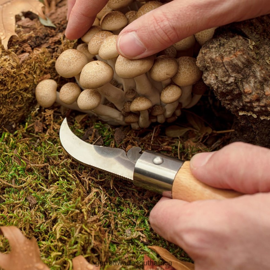 Outdoor Garrett Wade Mushroom-Harvesting Folding Knife with Sheath LP88ZX398 - Garrett Wade Knives