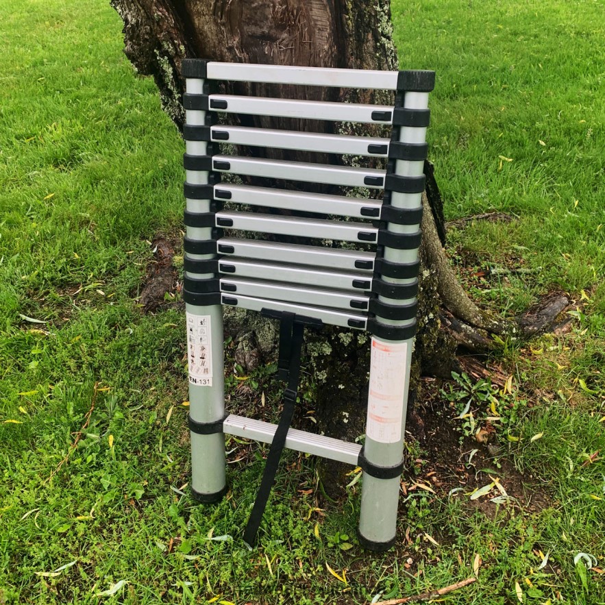 Workshop Garrett Wade Telescoping Extension Ladders LP88ZX488 - Garrett Wade Knives