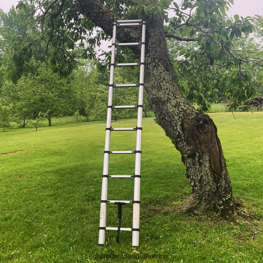 Workshop Garrett Wade Telescoping Extension Ladders LP88ZX488 - Garrett Wade Knives