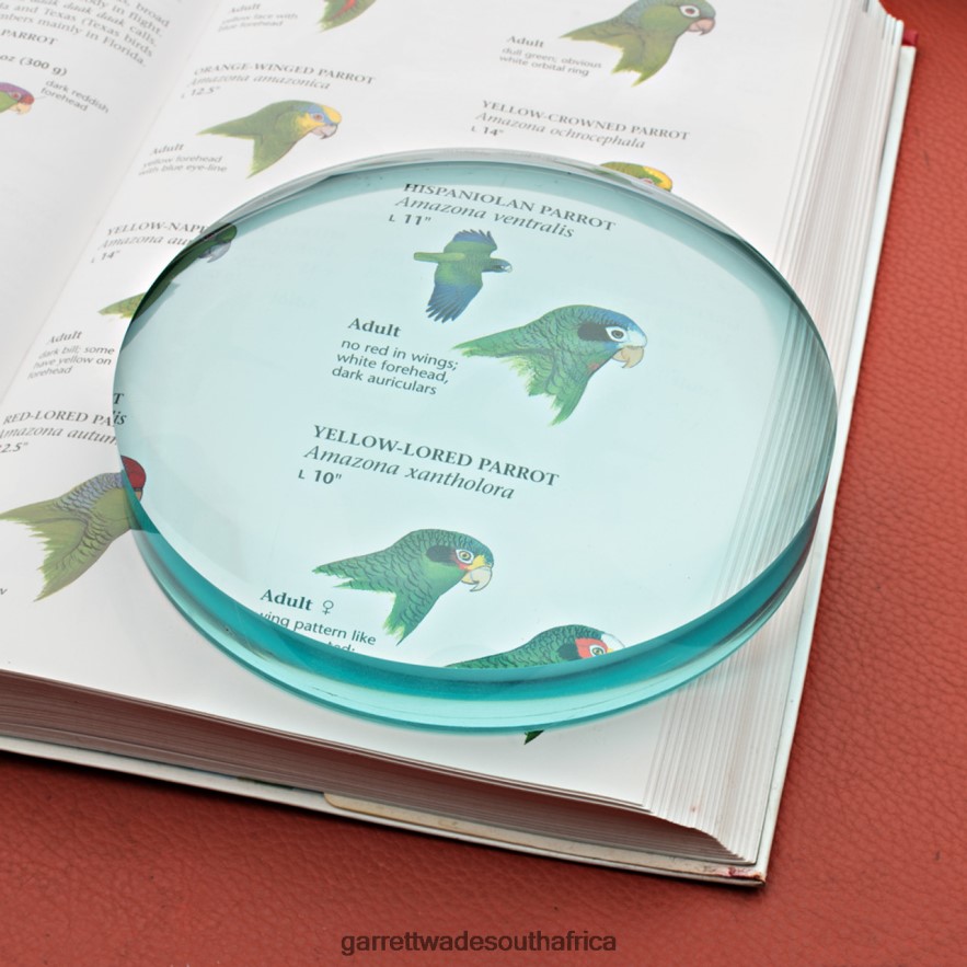 Workshop Garrett Wade Large Desktop Magnifier LP88ZX539 - Garrett Wade Knives