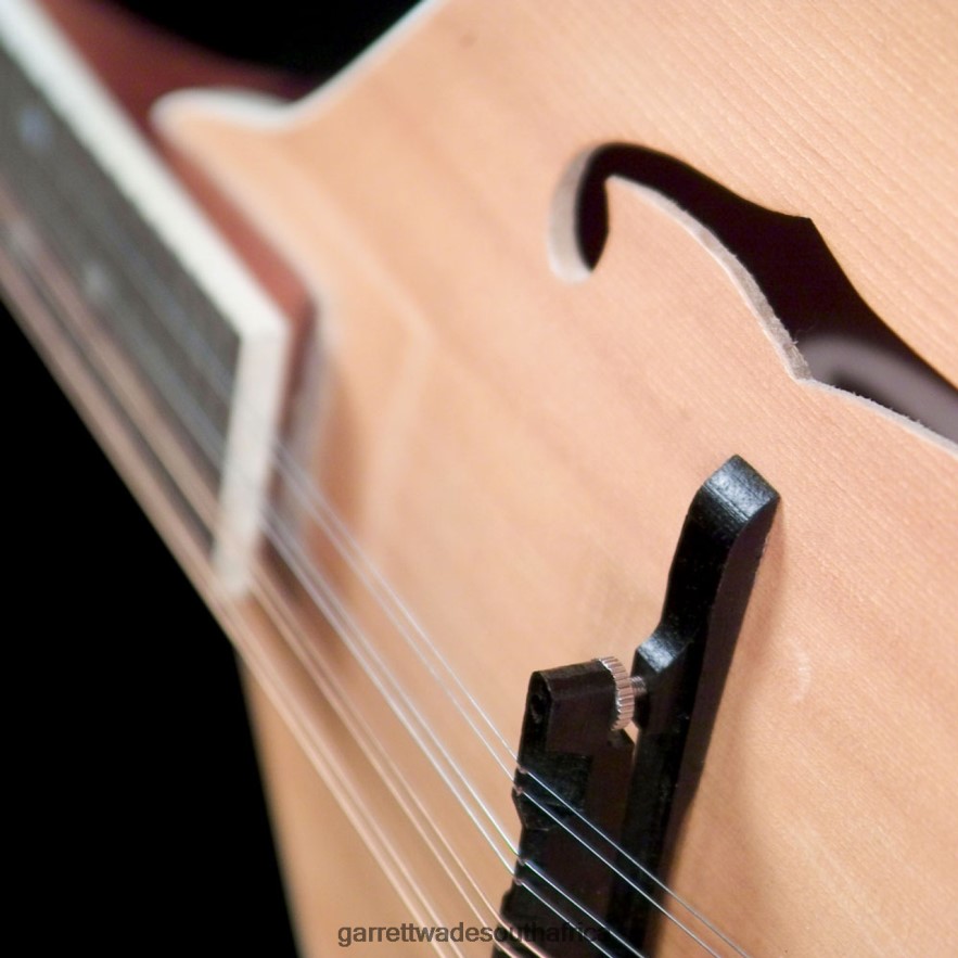 Workshop Garrett Wade Build Your Own Mandolin Kit LP88ZX610 - Garrett Wade Garden Tools